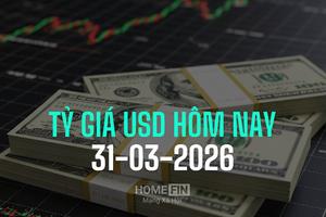 Tỷ giá USD hôm nay 31/3/2025: Đồng bạc xanh lập đỉnh 10 tháng