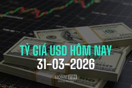Tỷ giá USD hôm nay 31/3/2025: Đồng bạc xanh lập đỉnh 10 tháng