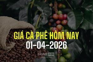 Giá cà phê hôm nay 1/4/2026: Tăng mạnh gần 2.000 đồng, lên mức 89.000 đồng/kg