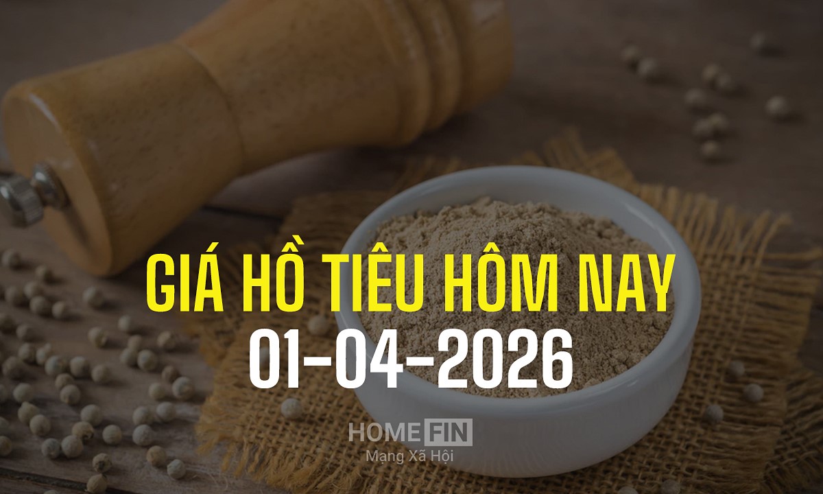 Cập nhật giá tiêu hôm nay 1/4/2026 trong nước và thế giới mới nhất 