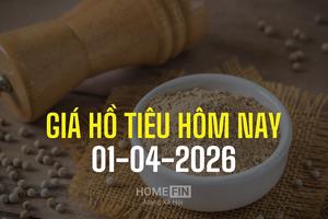 Giá tiêu hôm nay 1/4/2026: Giảm mạnh 2.000 đồng, trở về mốc 139.000 đồng/kg