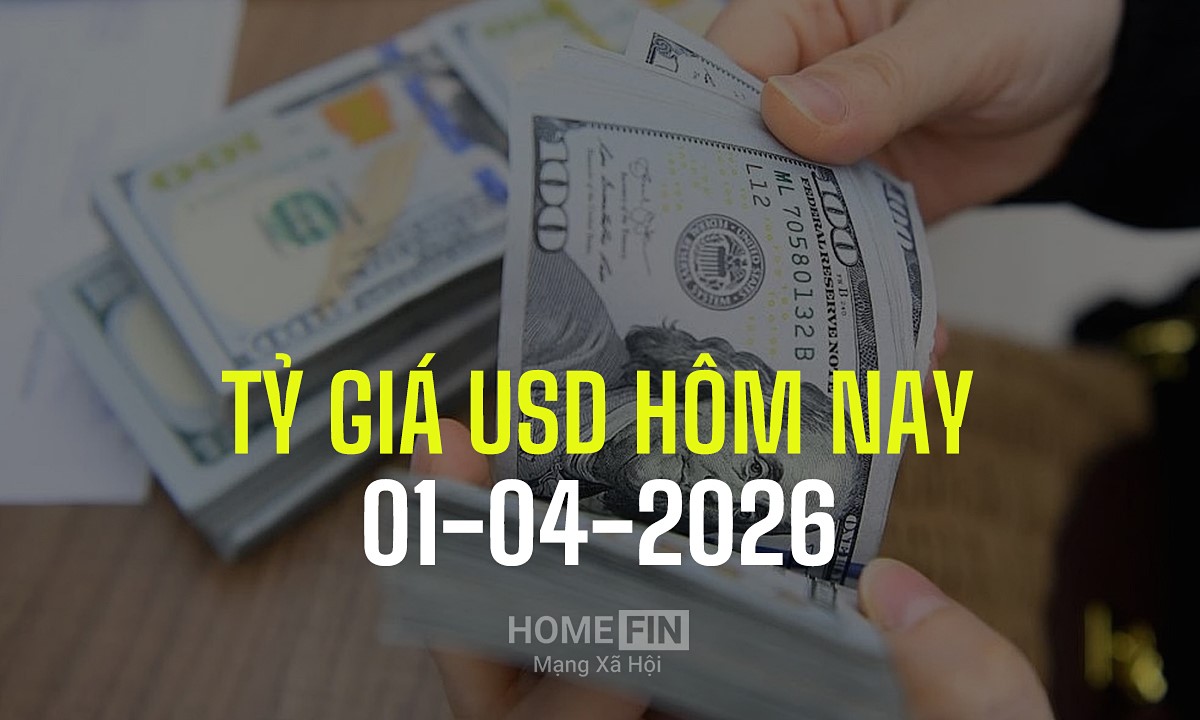 Tỷ giá USD hôm nay 1/4/2025 ở trong nước và thế giới mới nhất