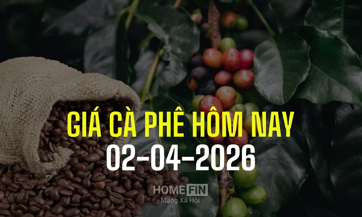 Giá cà phê hôm nay 2/4/2026 ở trong nước và thế giới mới nhất