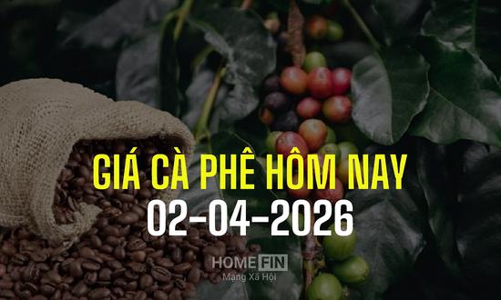Giá cà phê hôm nay 2/4/2026 ở trong nước và thế giới mới nhất