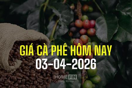 Giá cà phê hôm nay 3/4/2026: Quay đầu giảm 1.400 đồng, về mức 88.000 đồng/kg
