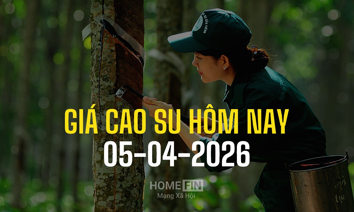 Cập nhật giá cao su hôm nay 5/4/2026 ở trong nước và thế giới mới nhất