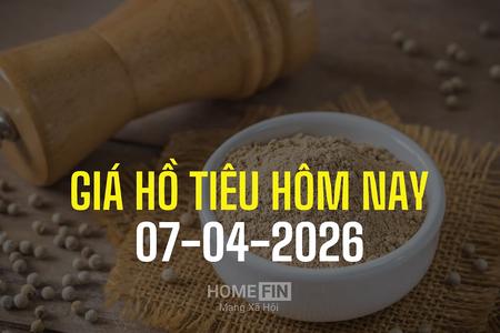 Giá tiêu hôm nay 7/4/2026: Duy trì ổn định, thị trường chờ tín hiệu mới từ cung – cầu