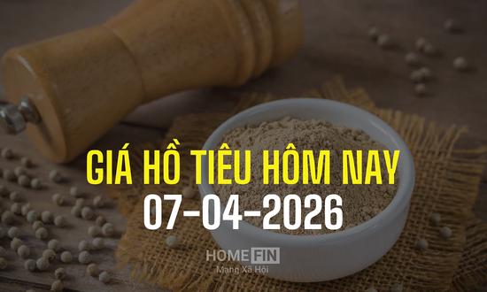 Cập nhật giá tiêu hôm nay 7/4/2026 trong nước và thế giới mới nhất