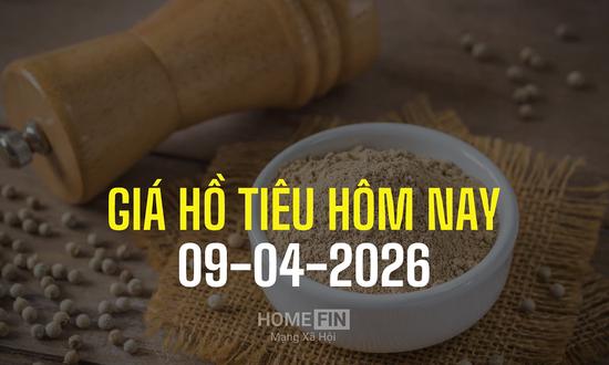 Cập nhật giá tiêu hôm nay 9/4/2026 trong nước và thế giới mới nhất 