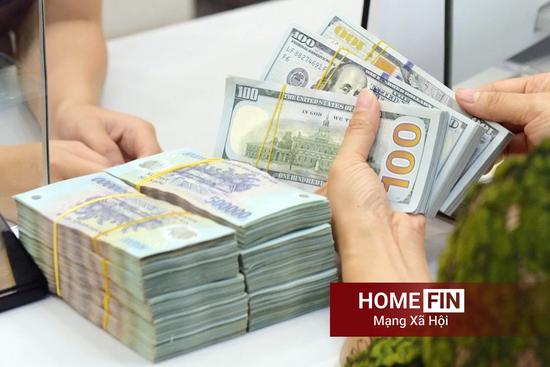 Tỷ giá USD hôm nay 14/4/2025 ở trong nước và thế giới mới nhất