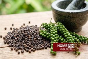 Giá tiêu hôm nay 17-4-2026: Đứng yên, ở mốc 140.000 - 141.000 đồng/kg