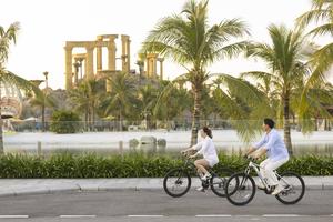 Quỹ căn trực tiếp từ chủ đầu tư chỉ còn dưới 5%, biệt thự Ocean City vào “vùng khan hiếm”