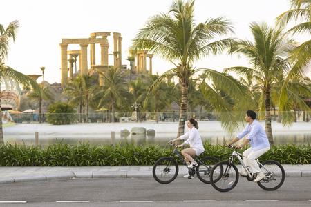 Quỹ căn trực tiếp từ chủ đầu tư chỉ còn dưới 5%, biệt thự Ocean City vào “vùng khan hiếm”
